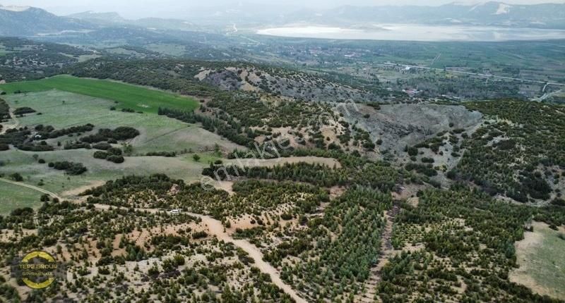 Burdur Yeşilova Harmanlıda 2477 M2 Tek Tapu Satılık Tarla