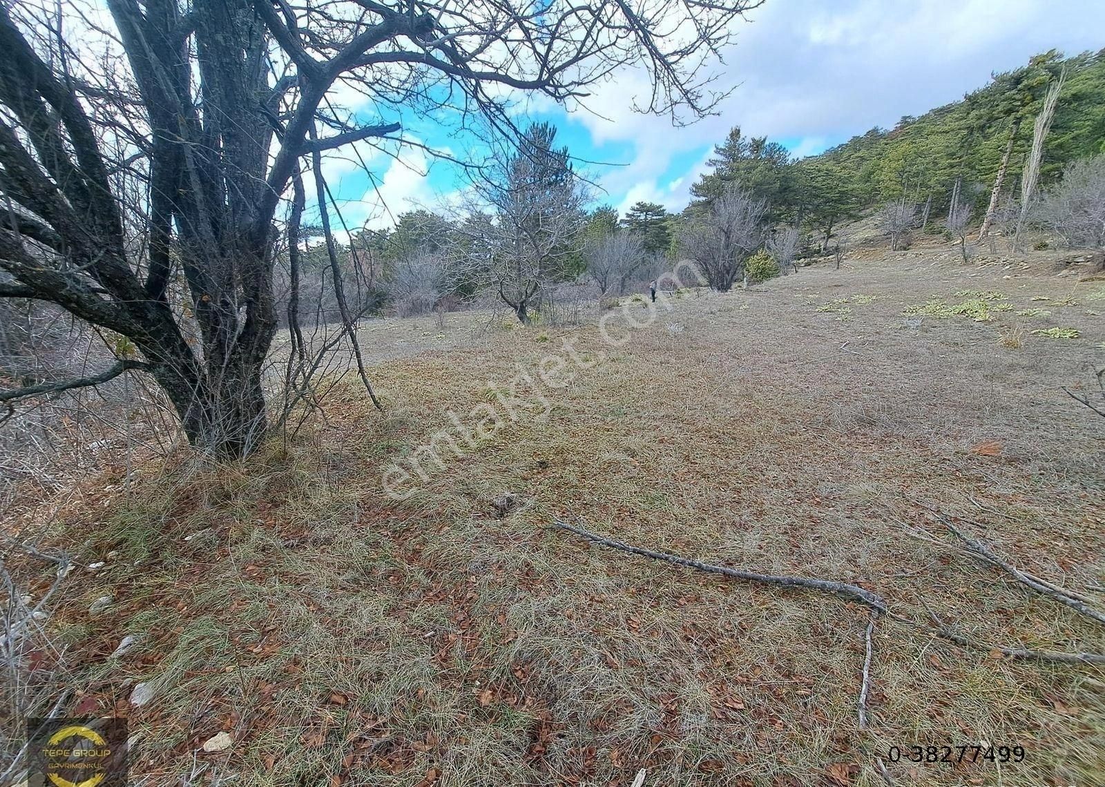 Burdur Merkez Aziziye'de 1932 M2 Müstakil Tapulu Tarla