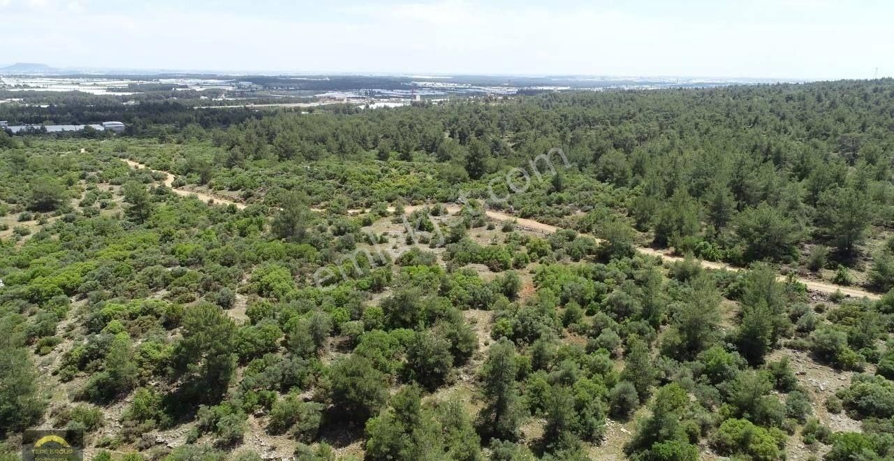 Antalya Aksu Topallıda 366 M2 Tek Tapu Satılık Villa İmarlı Arsa