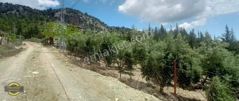 Serik Yumaklar'da 1346 M2 Kadastro Yola Cephe Satılık Tarla