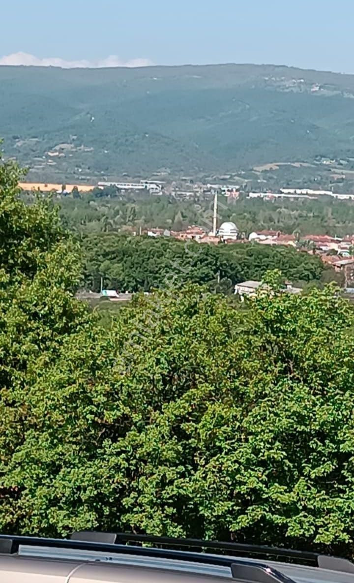 İnegöl Çitli Mh. Eskibağlar Mevkinde Tek Tapu