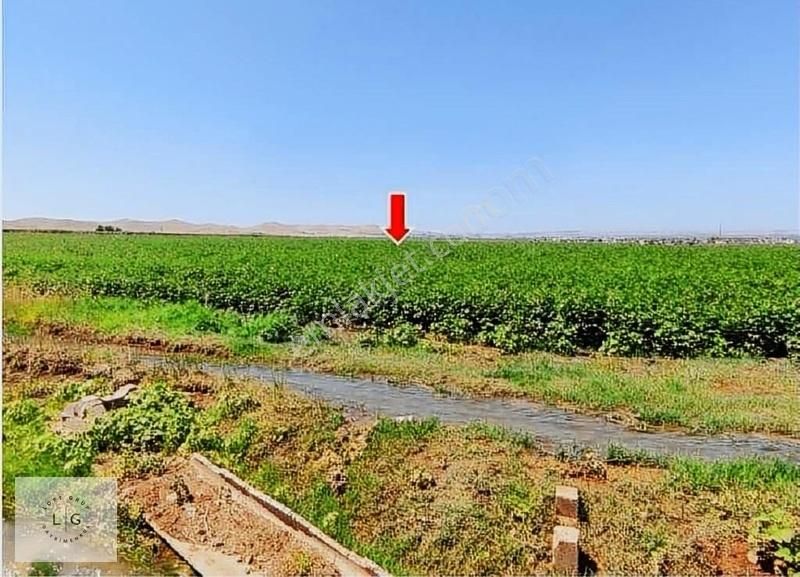Şanlıurfa Eyyübiye'de Satlık 44.670 M2 Tarla