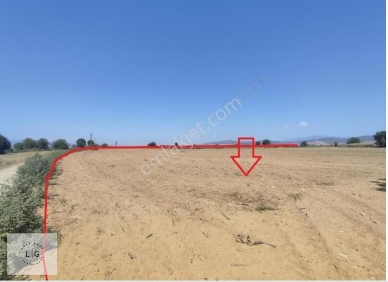 İzmir Bayındır Hasköy'de 16.440 M2 Satılık Tarla