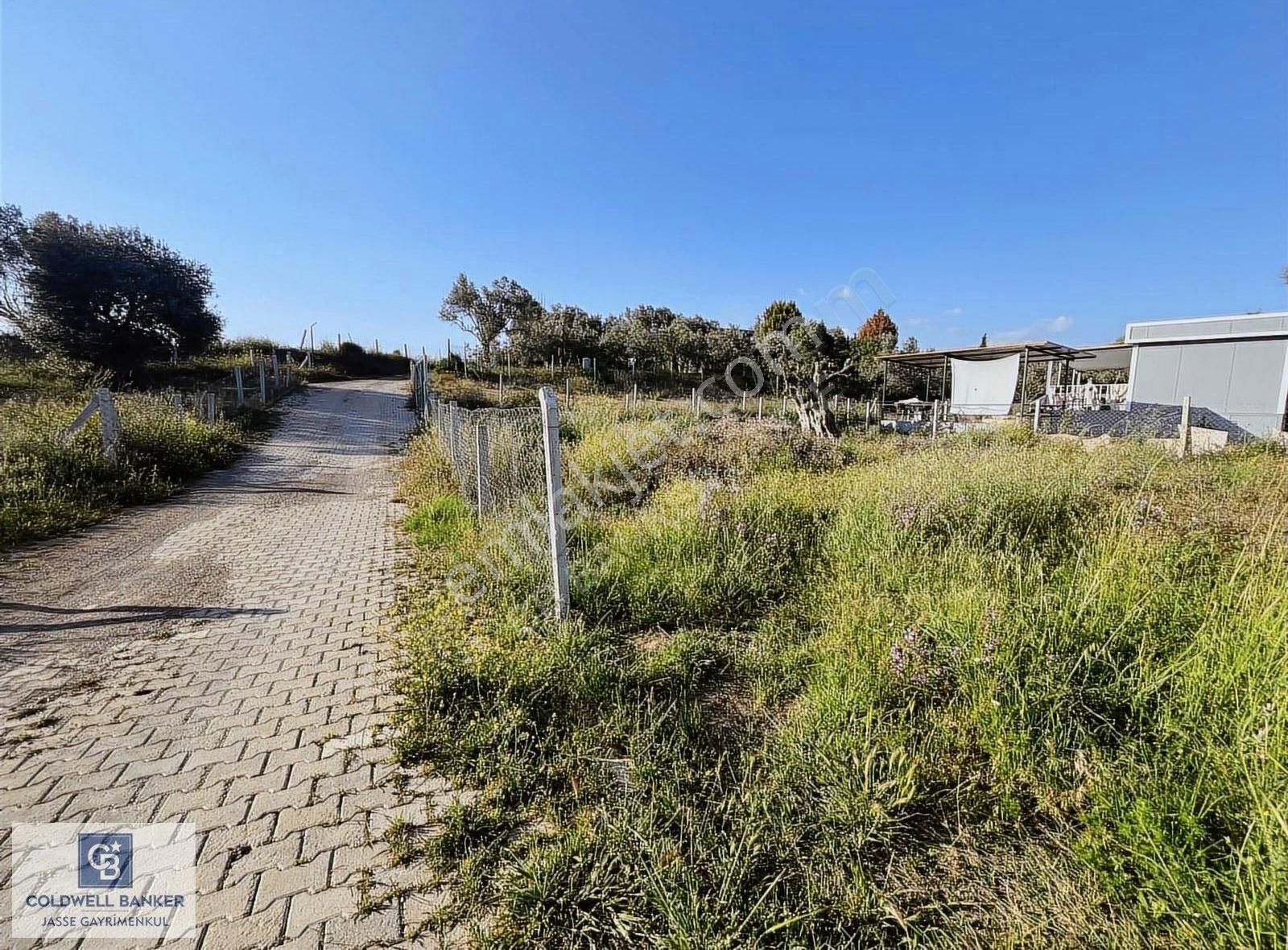 İzmir Buca Karacaağaç Köyünde Satılık Tarla