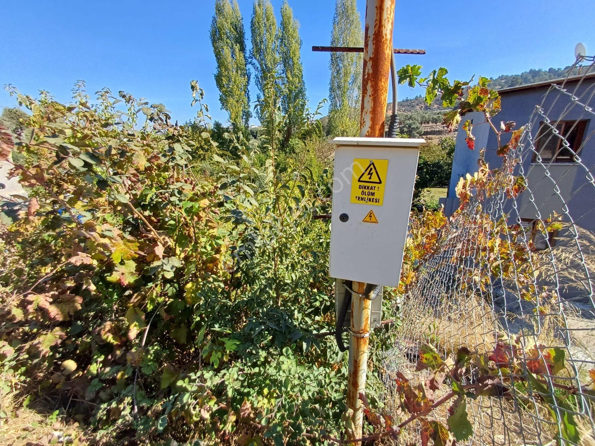 Kemalpaşa Armutlu'da Yol/su/elektrik Olan 424 M2 Bahçe