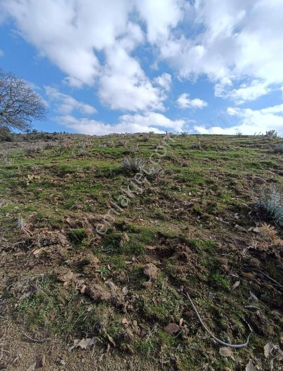 3500 M² Bu Büyüklükte Bu Özellikte Bu Fiyata Yok Bakmadan Geçme