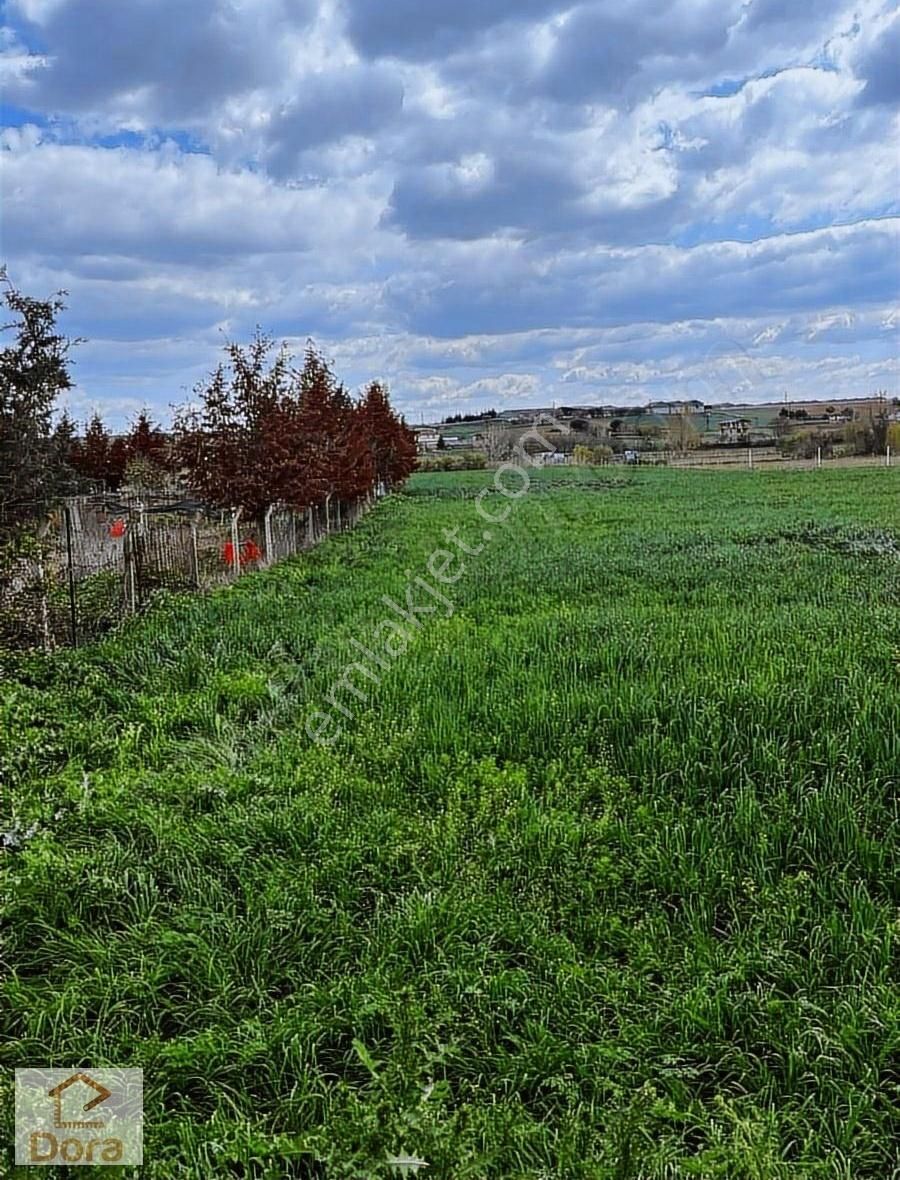Lüleburgaz Celaliye Köyünde Yola Cepheli 1182 M2 İmarlı Arsa