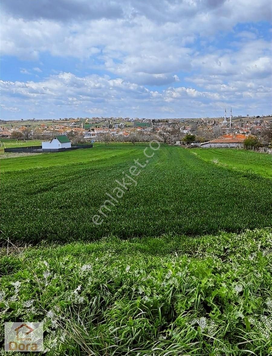 Lüleburgaz Celaliye Köyünde Anayola Cepheli 2227 M2 Konut İmarlı