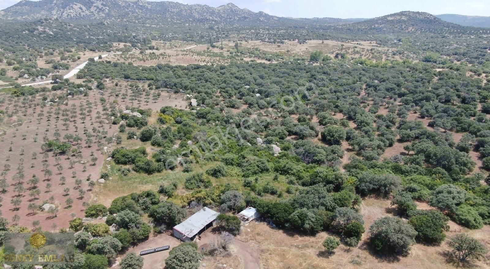 Körüktaşı Köyünde Asfalt Yola Yakın 7 Dönüm Satılık Tarla