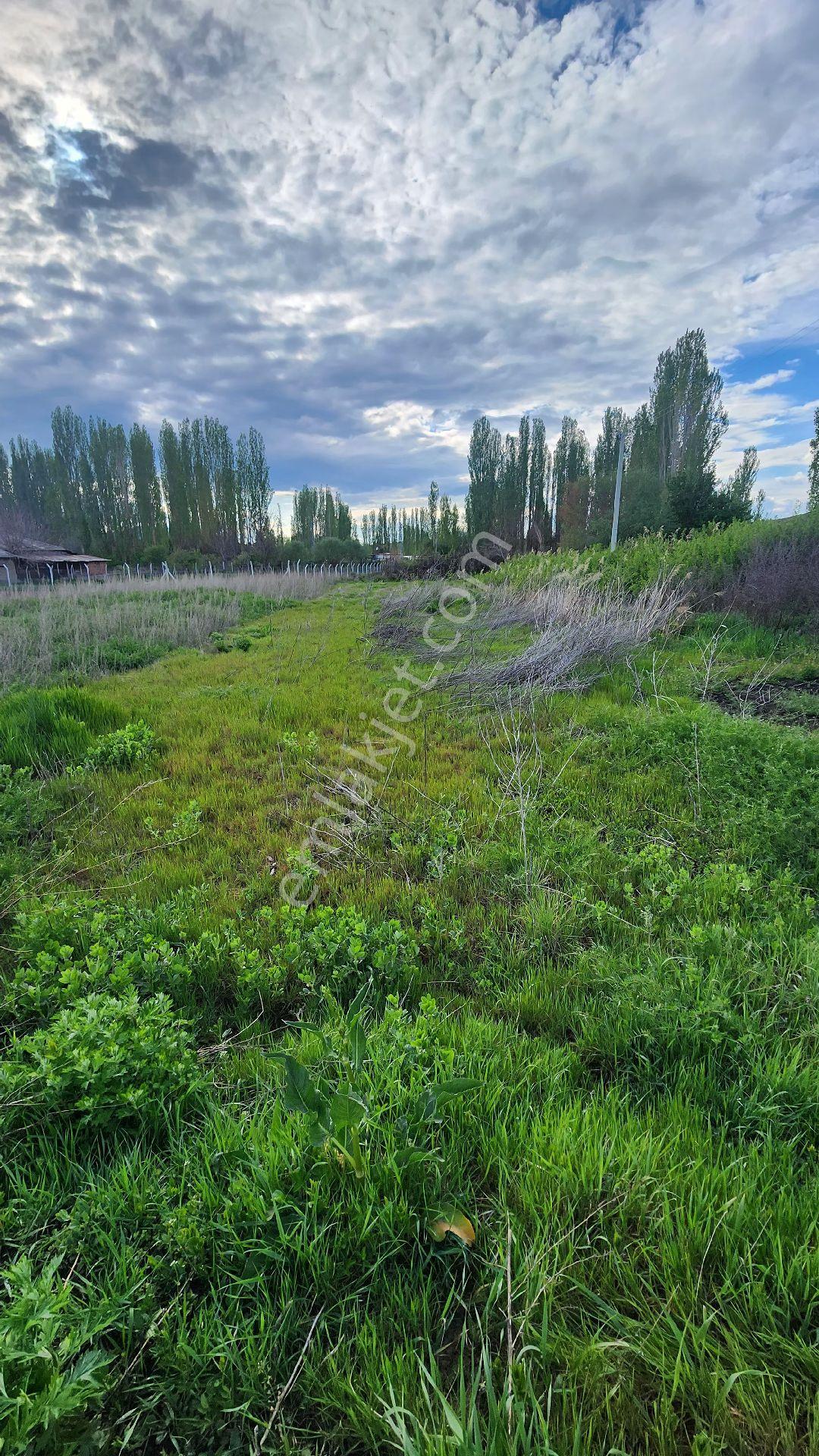 Seydişehir Bostandere Köyiçi 710 M2 - Görsel 2