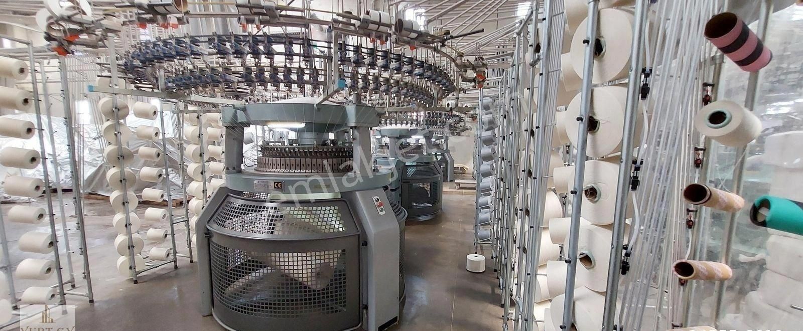 Kırklareli Lüleburgaz Büyükkarıştıran Satılık Fabrika Binası Ve Arsası - Görsel 9