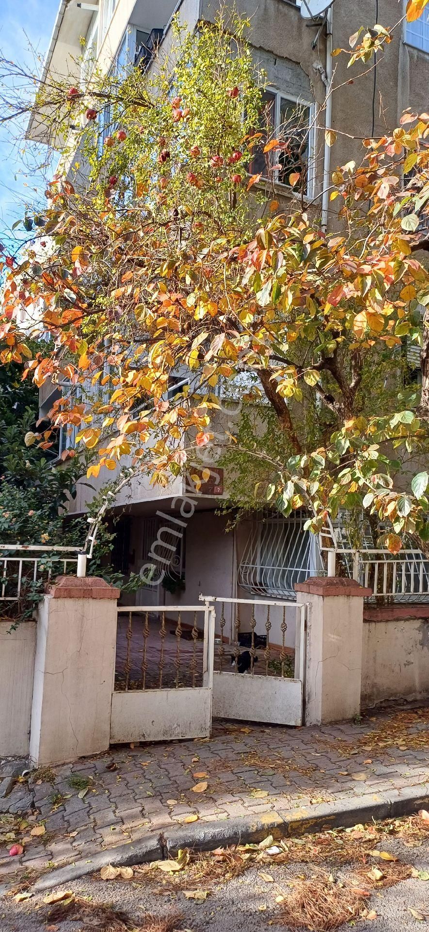 Yatırımlık 1+1daire