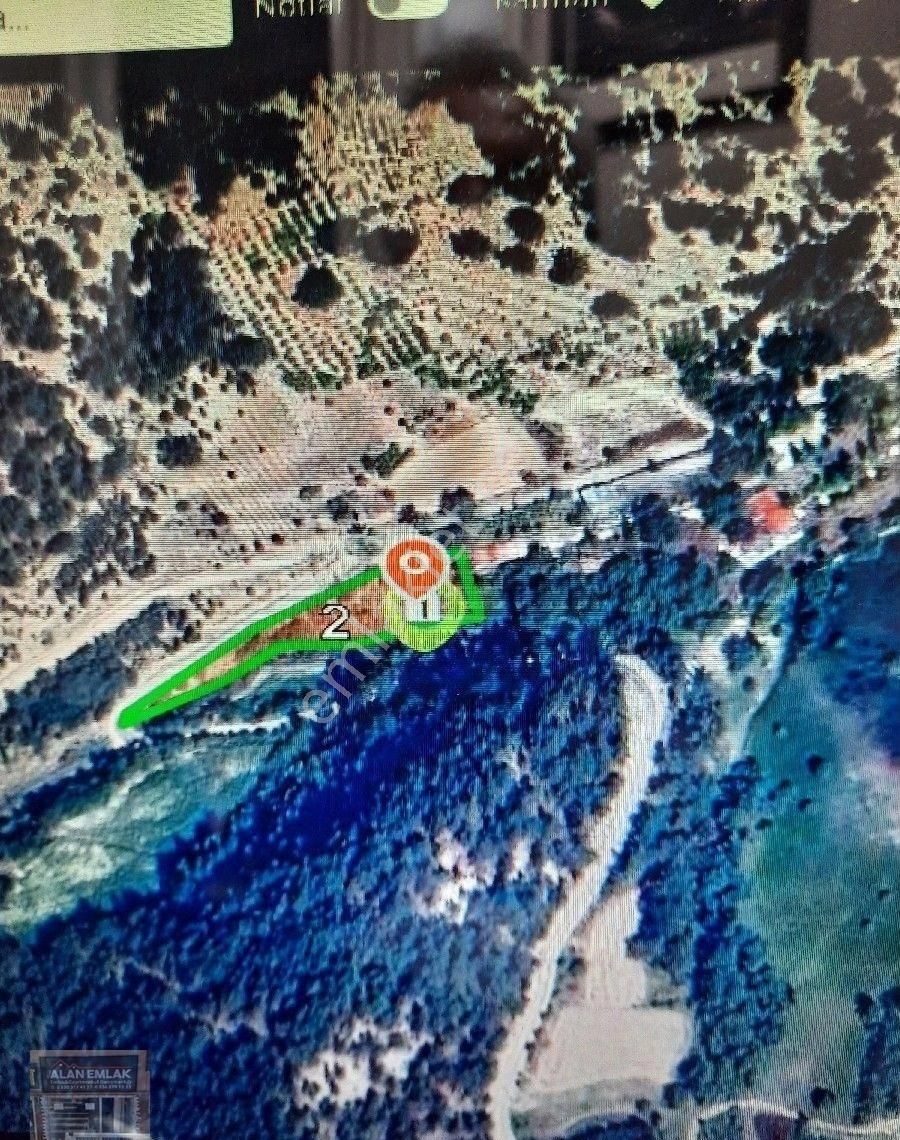 Bolu Göynük Satılık Tarla