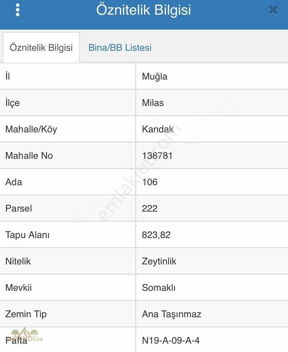 Arazi Uzmanından Milas Kandak'ta Manzaralı Zeytinlik