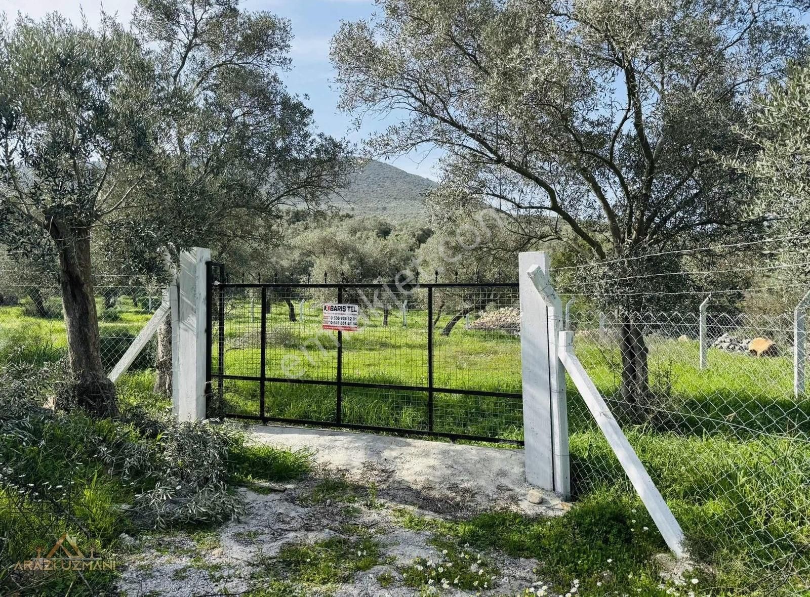 Arazi Uzmanından Milas Ovakışlacık'ta 1.650 M2 Harika Arazi