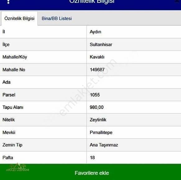 Arazi Uzmanından Aydın Sultanhisar'da Harika Zeytinlik
