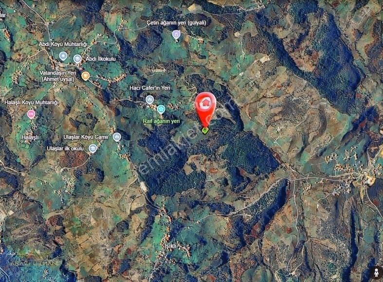 Kısmı Denız Manzaralı Zonguldak' Ereglı Den Fındık'lık