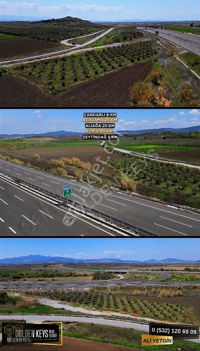 Bergama Zeytindağ´da Çandarlı Yolu Üzeri Zeytinlik
