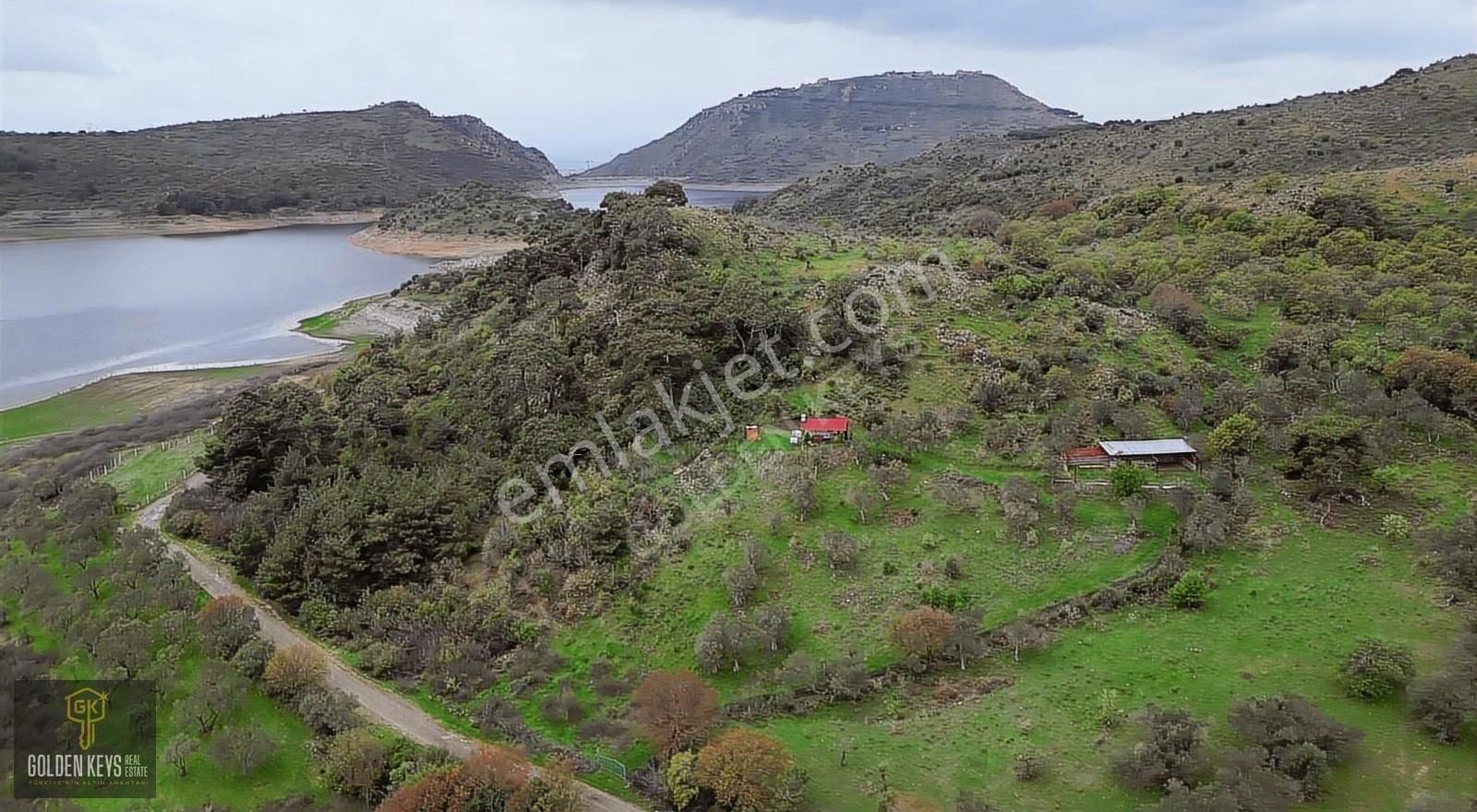 Bergama Hamzalı Süleymaniyede Köycivarı Baraj Manzarlı Zeytinlik