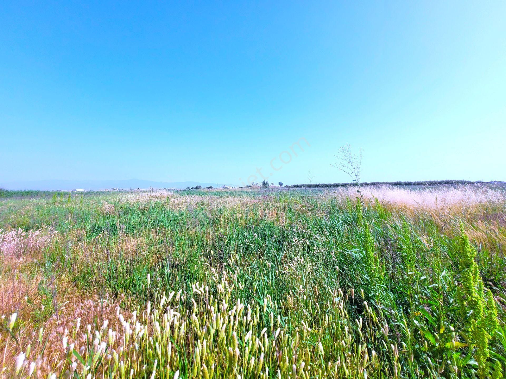 Menemen Türkelli Satılık Tarla - Görsel 24