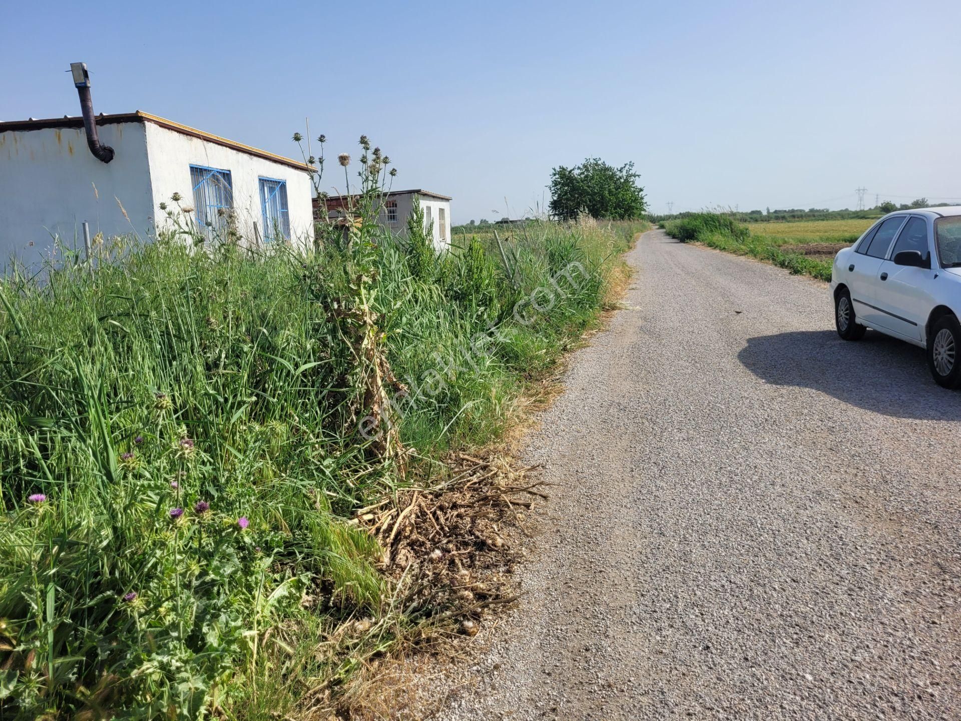 Menemen Türkelli Satılık Tarla - Görsel 29