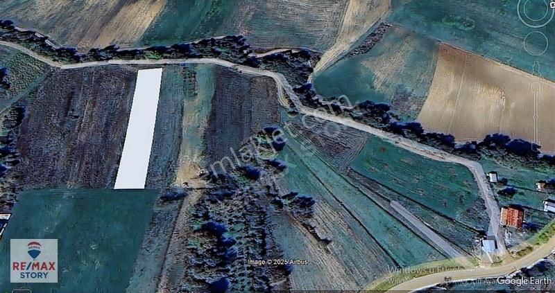 Derince Çavuşlu Köy İçine Yakın Müstakil Tek Tapu Satılık Tarla.
