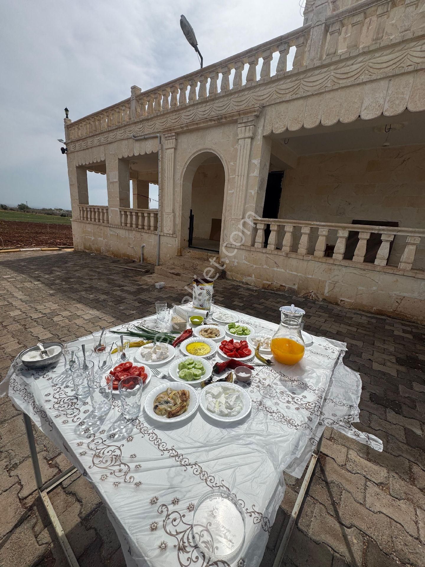 📍nf Emlaktan Satılık Tarla İçinde Villa Ve Çok Sayıda Meyve Ağaçları