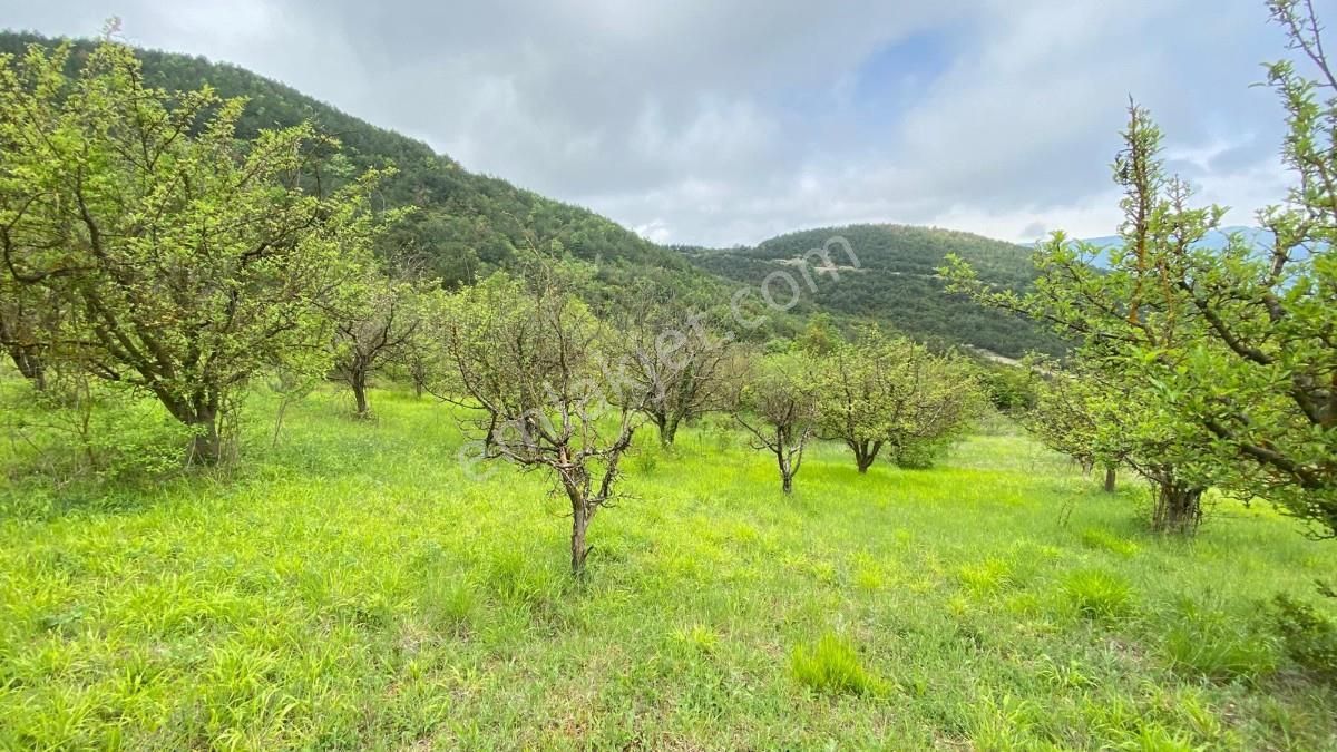 Geyve-alıplarda 85 Mt. Yola Cepheli Satılık 3862 M2 Tarla