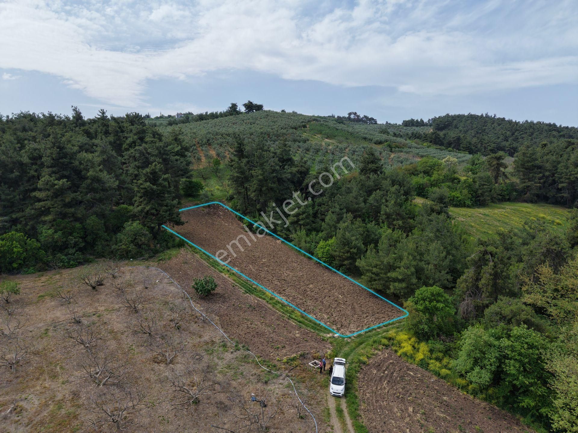 Mudanya Yaylacıkta 1.750 M² Satılık Tarla