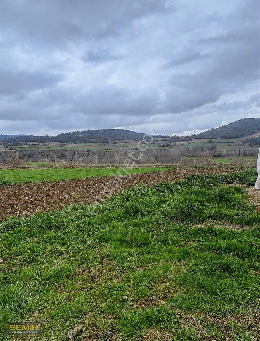 Semih'den İncirlide Otoban Kenarı 484 M2 Tava Gibi Arazi - Görsel 7