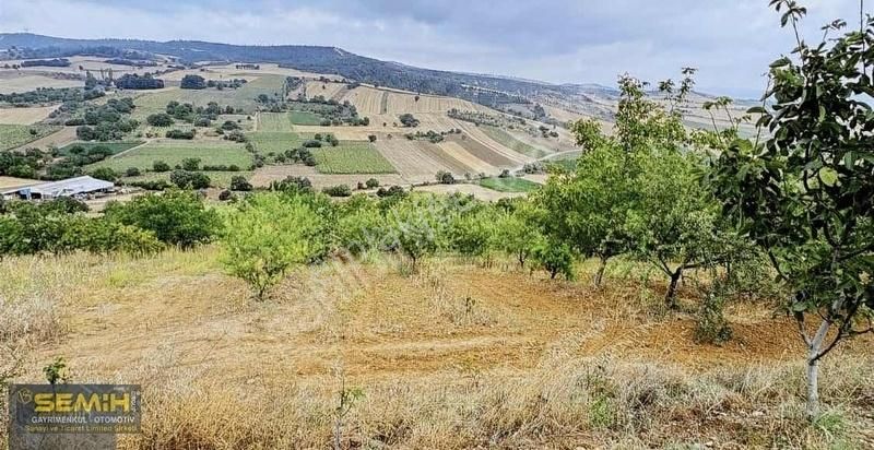 Semih'den Alaylıda Köy Yanı 2800 M2 Bol Çeşitli Meyve Bahçesi - Görsel 8
