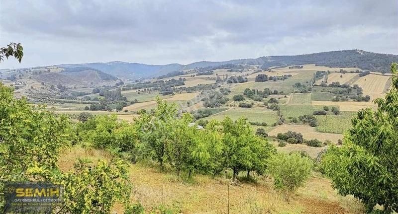 Semih'den Alaylıda Köy Yanı 2800 M2 Bol Çeşitli Meyve Bahçesi - Görsel 3
