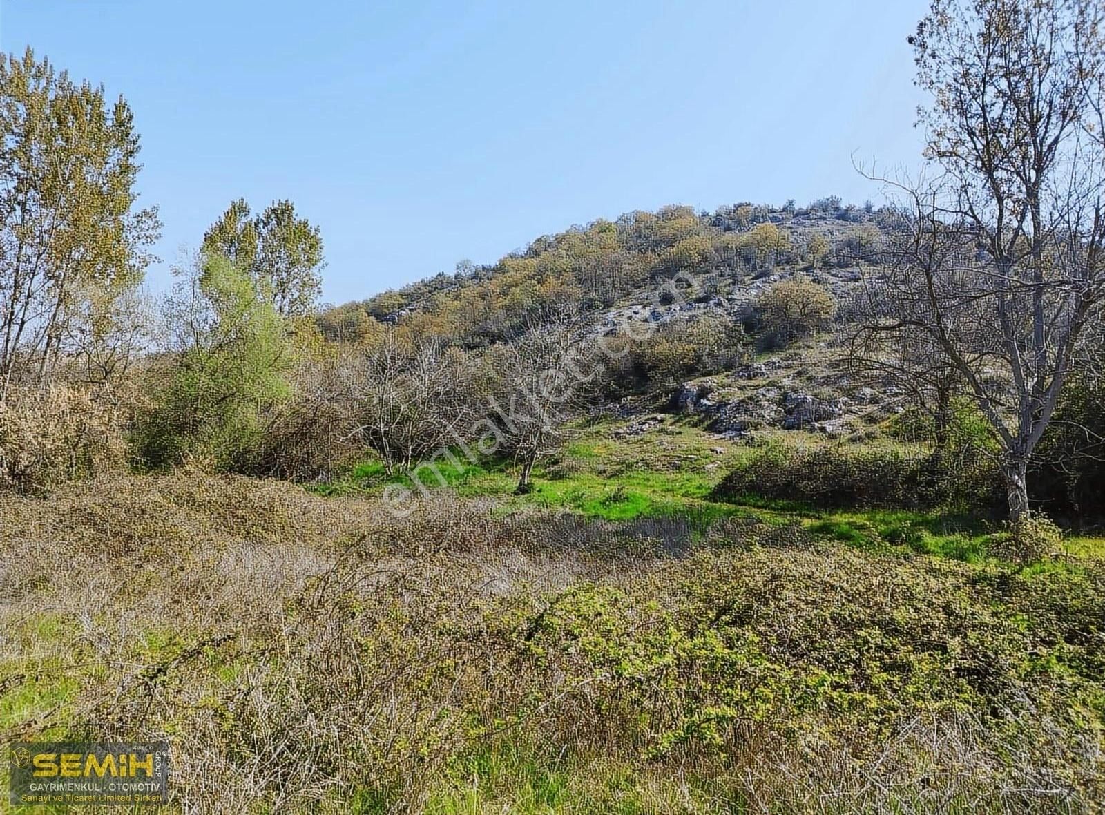 Semih'den Subaşıda Yola Cepheli Dümdüz Konuma Sahip Hobi Bahçesi - Görsel 5