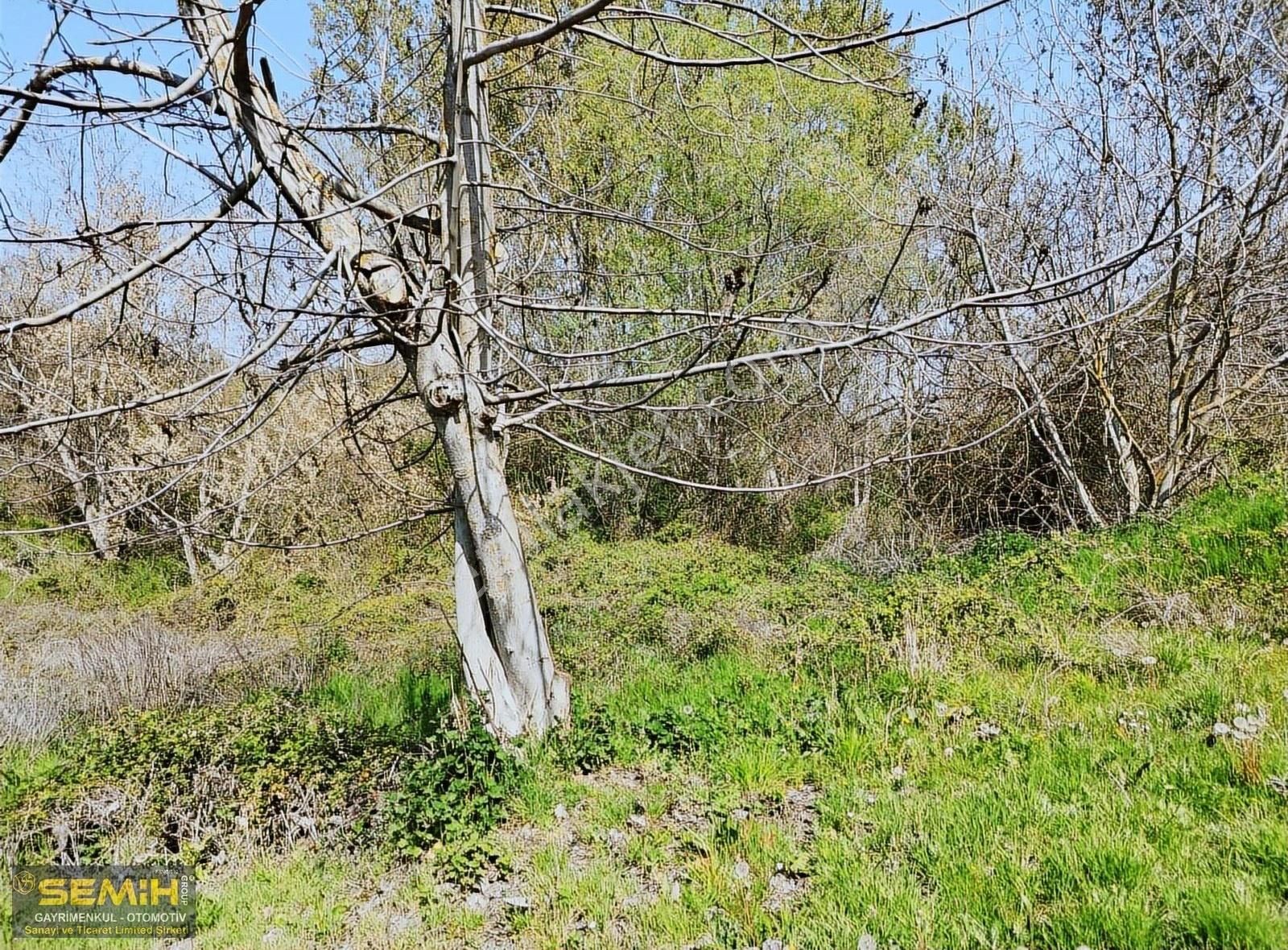 Semih'den Subaşıda Yola Cepheli Dümdüz Konuma Sahip Hobi Bahçesi - Görsel 11
