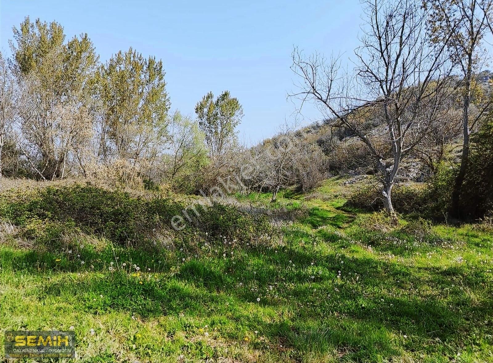 Semih'den Subaşıda Yola Cepheli Dümdüz Konuma Sahip Hobi Bahçesi - Görsel 2