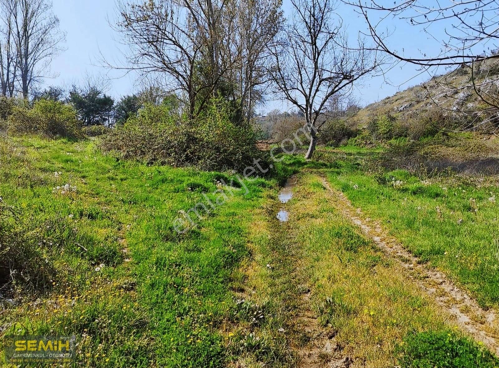 Semih'den Subaşıda Yola Cepheli Dümdüz Konuma Sahip Hobi Bahçesi - Görsel 7