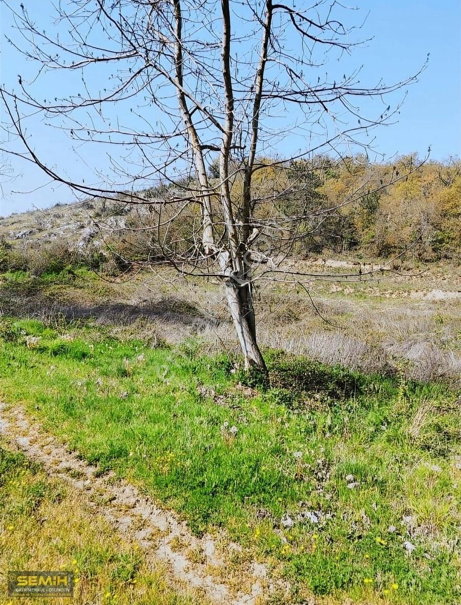 Semih'den Subaşıda Yola Cepheli Dümdüz Konuma Sahip Hobi Bahçesi - Görsel 12