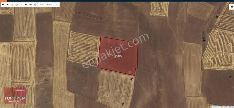 Sarıoğlan Muratbeyli'de 12.152 M2 Satılık Tarla - Teklife Açık