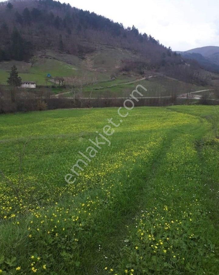 Gemlik Fındıcak'ta Dere Kenarı 800m2 50 M2 Si İmarlı Tarla
