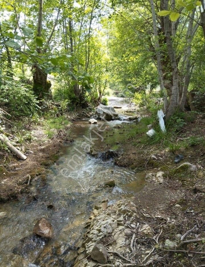 Gemlik Fındıcak'ta Dere Kenarı Köye Yakın Tarla
