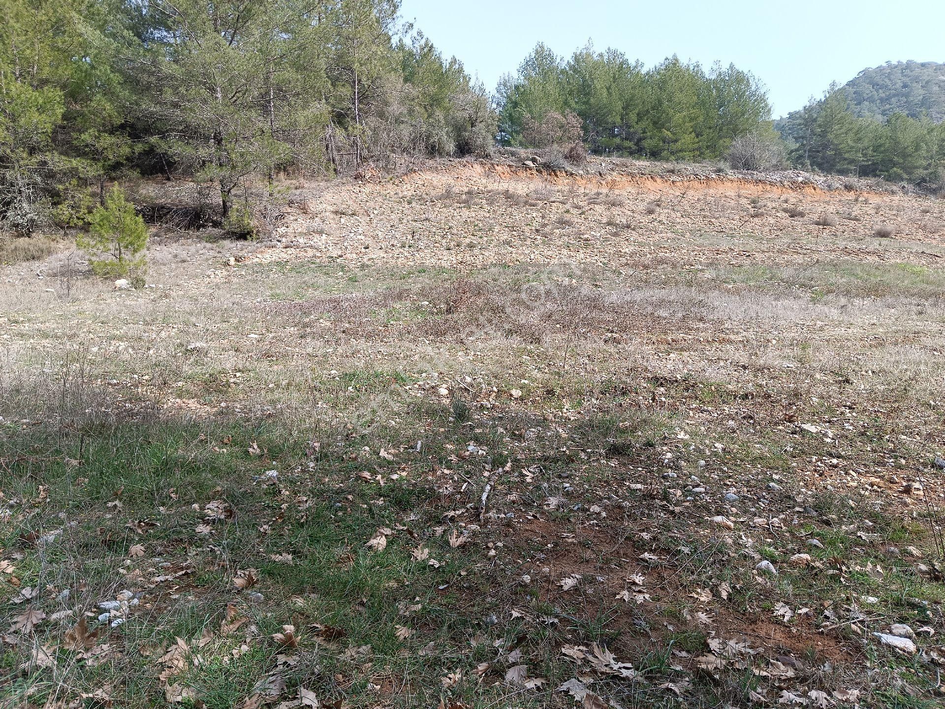 Muğla Menteşe Yerkesik Mah.satılık Fırsat Arazi