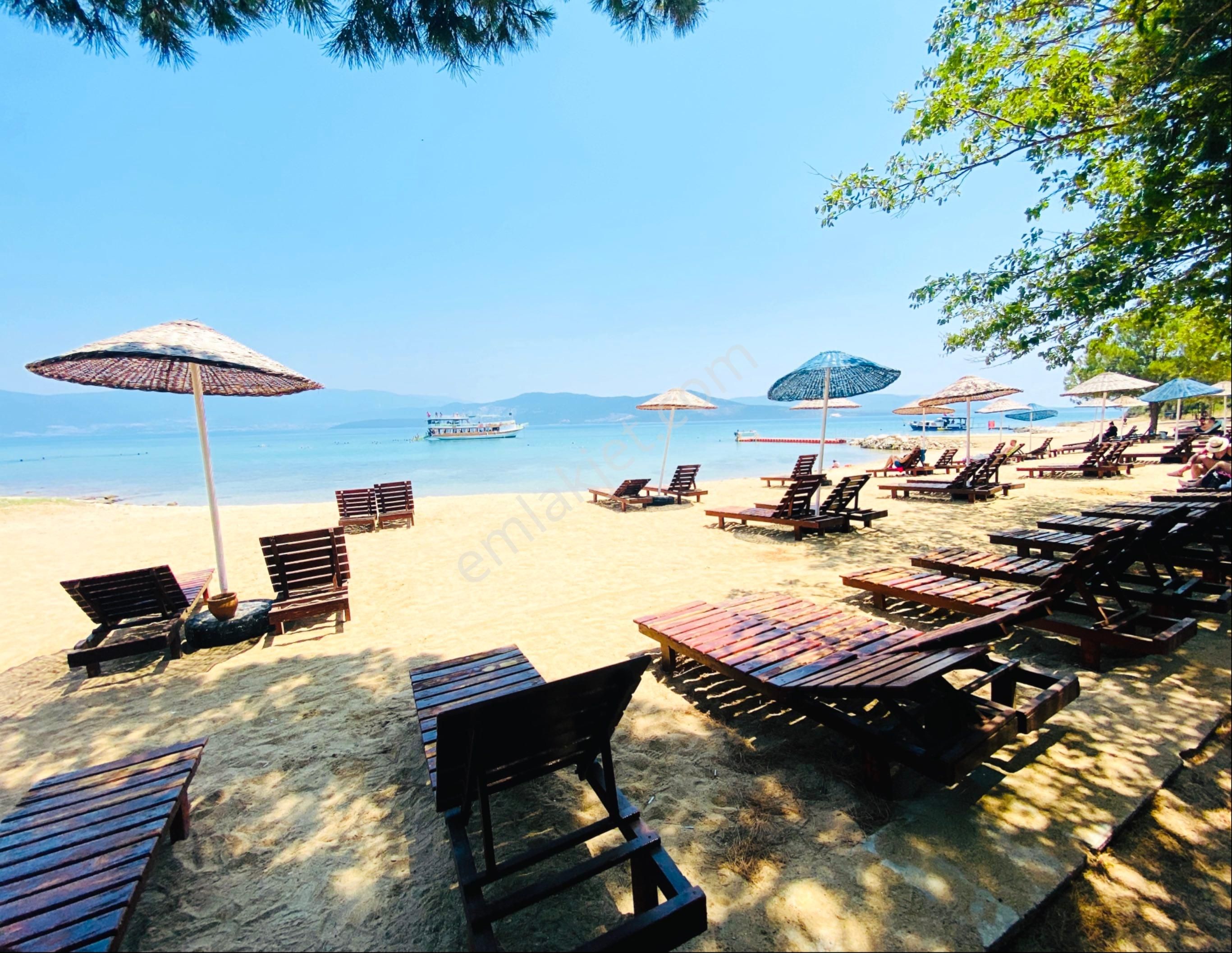 Didim Fevzipaşada Denize Yürüme Mesafesinde Havuzlu Daireler - Görsel 16