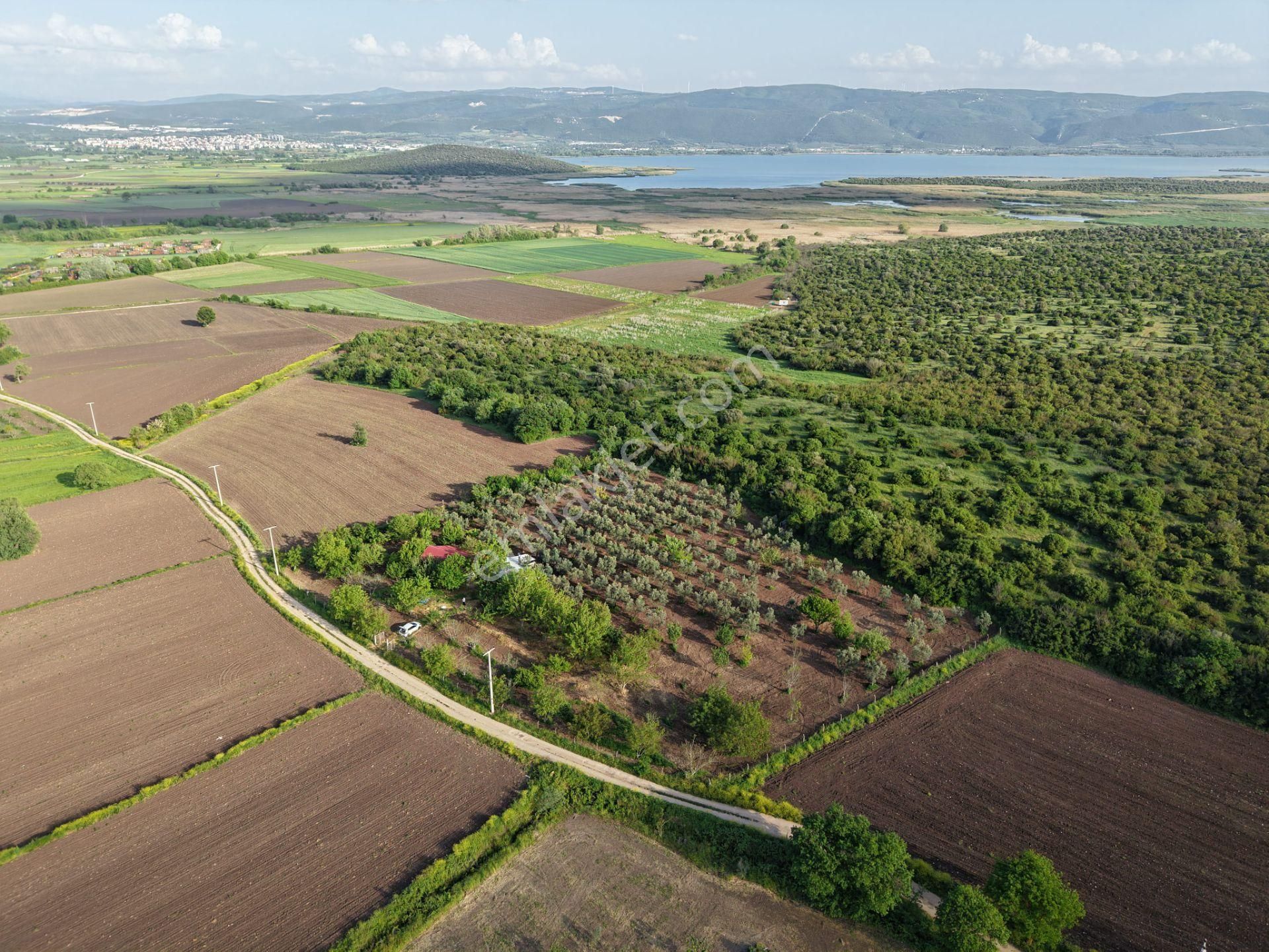 Wıse Invest Gayrimenkul'dan Gölyazıda 8.050 M² Çiftlik Evi - Görsel 10