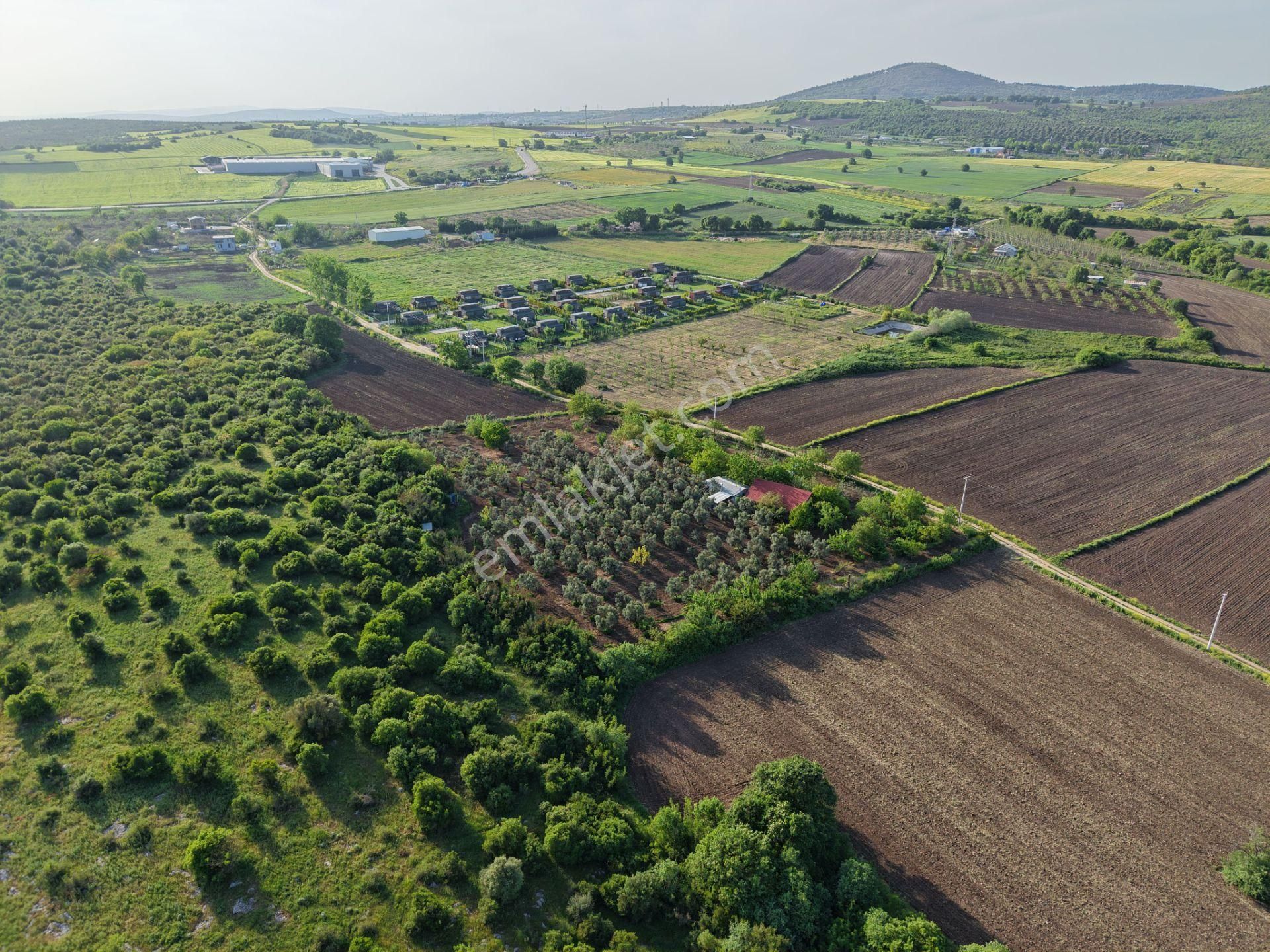 Wıse Invest Gayrimenkul'dan Gölyazıda 8.050 M² Çiftlik Evi - Görsel 13