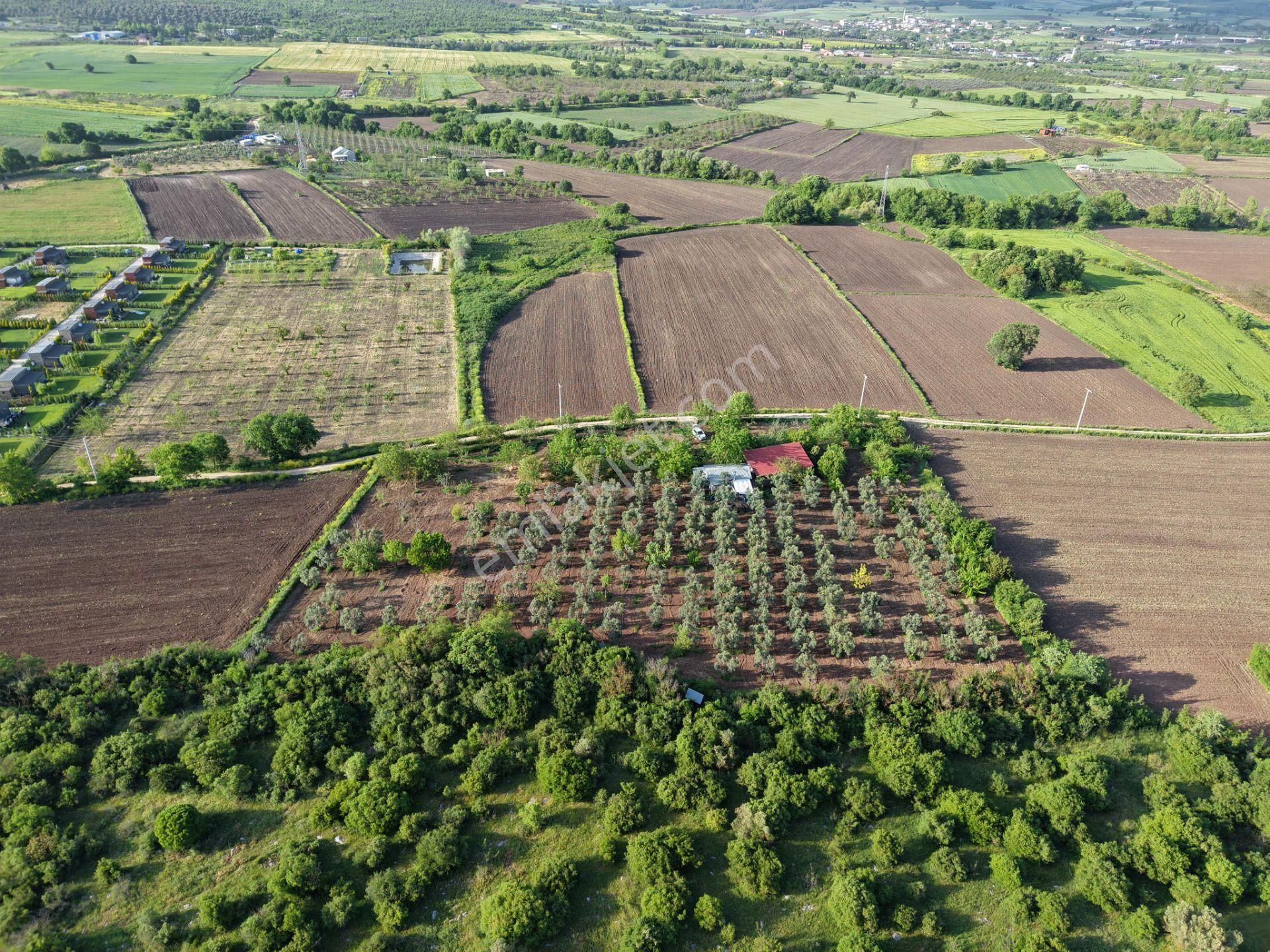 Wıse Invest Gayrimenkul'dan Gölyazıda 8.050 M² Çiftlik Evi - Görsel 11