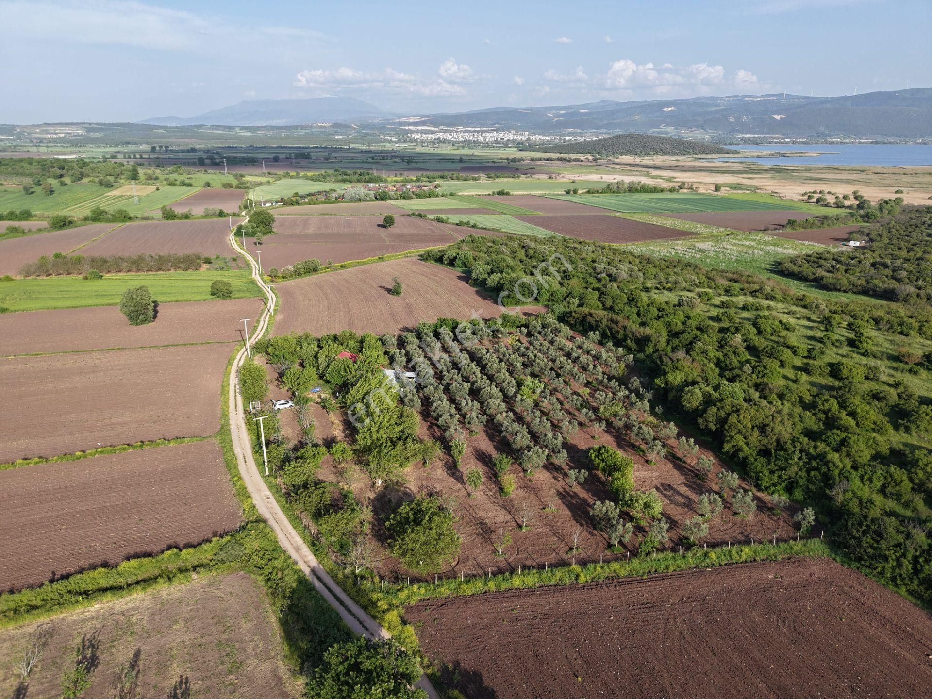Wıse Invest Gayrimenkul'dan Gölyazıda 8.050 M² Çiftlik Evi - Görsel 4