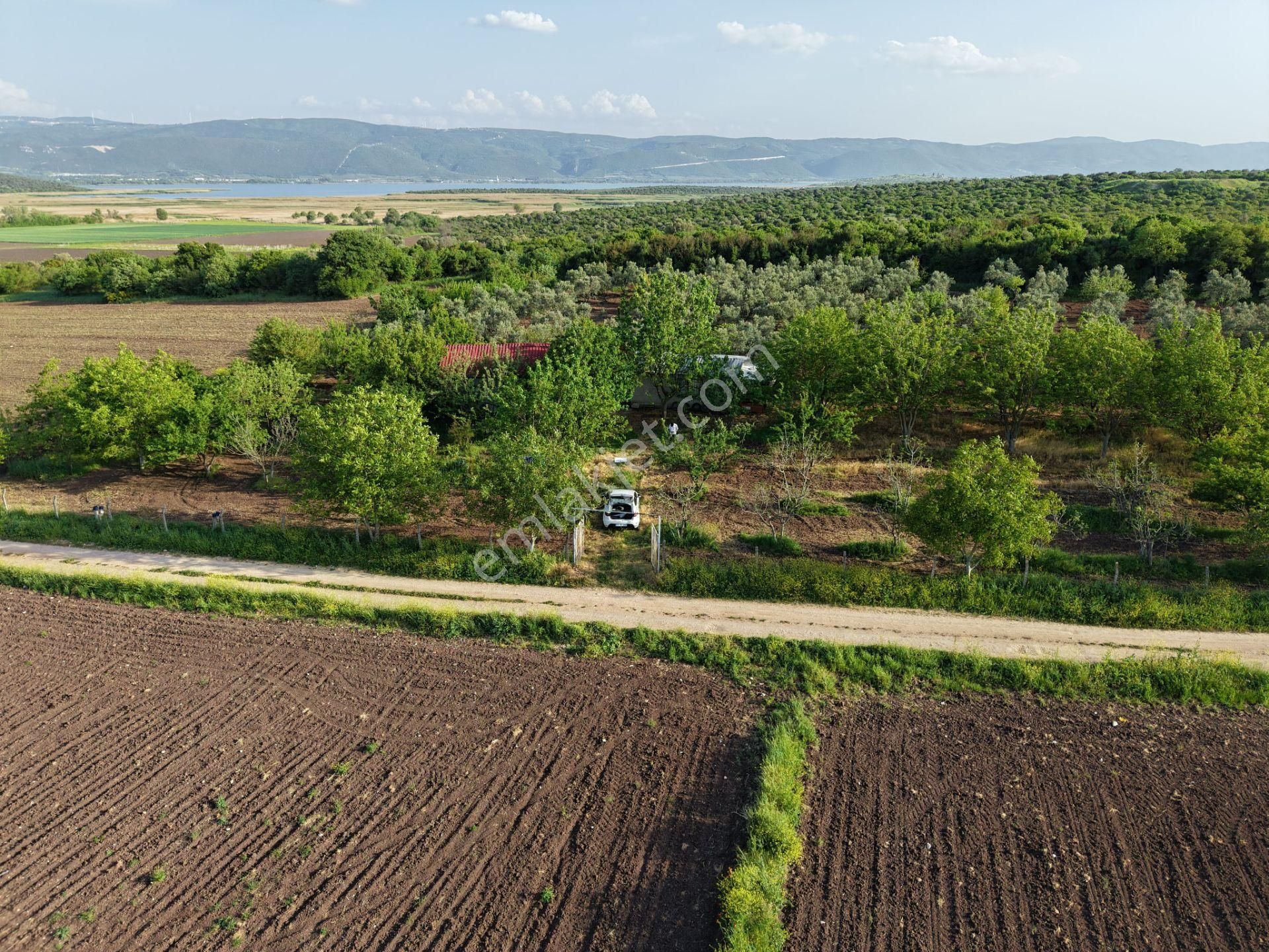 Wıse Invest Gayrimenkul'dan Gölyazıda 8.050 M² Çiftlik Evi - Görsel 3