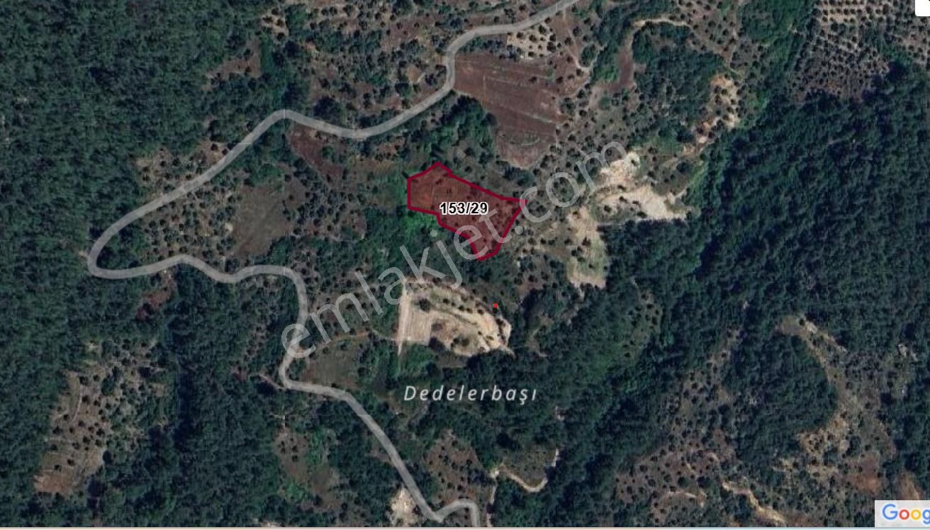 Elvan Özçelik'den Ören Kalem'de Denize Yakın Satılık Tarla