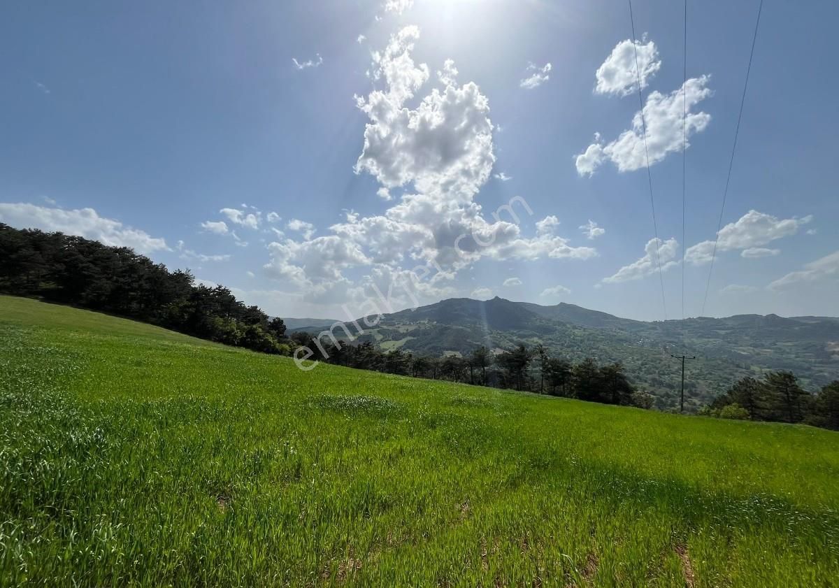 Sakarya Geyve Cecelerde Yatırımlık Doğa Manzaralı 3492 M² Tarla