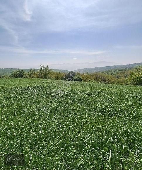 Aktaş Gayrimenkul'den Aşağıdereköy'de Göl Manzaralı Tarla